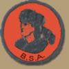 Reproduction of Daniel Boone Patrol Patch