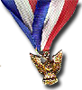 Distinguished Eagle Scout Award