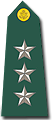 [Lieutenant General Insignia]