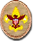 Tenderfoot Scout